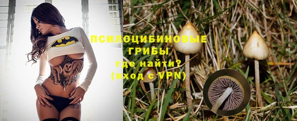 молекула духа Осинники
